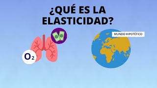 ¿Qué es la elasticidad [upl. by Hedva]