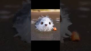 Piper 🐦 Oscar winning short film 📽️ UampI song 😍 [upl. by Hewart413]