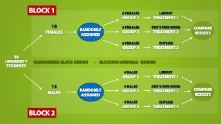 Types of Experimental Designs 33 [upl. by Leticia403]