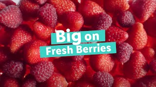 Big on Fresh Berries TV Advert  Lidl GB [upl. by Wachtel]