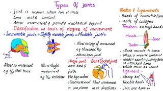 Types of joints  immovable slightly movable and movable joints  tendon and ligaments  class 10 [upl. by Edora321]