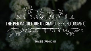 The Permaculture Orchard  Beyond Organic  OFFICIAL TRAILER [upl. by Airotna]