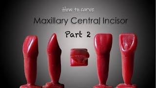 Maxillary Central Incisor Carving  Step by step  With Proper Instructions  Prof Dr JP Rajguru [upl. by Ahsiam]