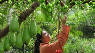 Evergreen Bilimbi Tree Bearing Very Acid Fruit That Gives A Sour Flavour To Soup [upl. by Colbye]