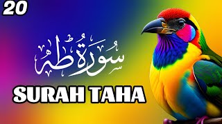 Surah Taha Full With Arabic Beautiful Quran Recitation  Complete Tilawah Yasin Yaseen Rahman Mulk [upl. by Elbon427]