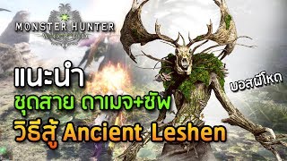 แนะนำชุดและวิธีสู้บอสผี Ancient Leshen  Monster Hunter World x The Witcher [upl. by Hgielak756]