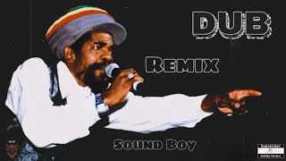 Cocoa Tea  Soundboy DUB Remix TapStryker [upl. by Saltzman876]