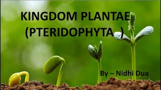 Kingdom Plantae  Pteridophyta  Diversity of Life Forms  CSIR NET  GurMantra [upl. by Ursola636]