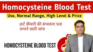 Homocysteine Blood Test for Heart Disease  Normal Range Price and High Level Causes in Hindi [upl. by Service]