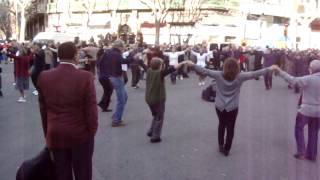 Sardana Catalan folk dance Barcelona Jan 2015 [upl. by Lucio]