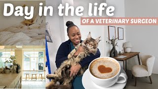 Day in the life of a veterinary surgeon [upl. by Aseretairam]