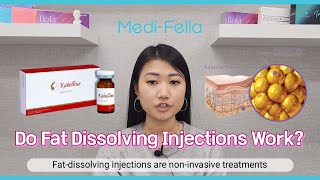 Do Fat Dissolving Injections Work [upl. by Anaed957]