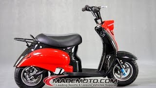 250W Mopped Electric Scooter ES2001 [upl. by Analeh516]