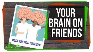 What This Video Will Do to Your Friends Brains [upl. by Kuehn]