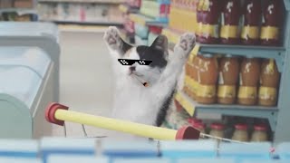 Netto Katzen YT Kacke💩 [upl. by Reivax927]