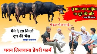 इतनी सस्ती भैंस दे दूंगा बेहोश हो जाएगा साहिल  Pawan Lijwana Dairy Farm Jind  For Sale 20 Buffalo [upl. by Aleicarg311]