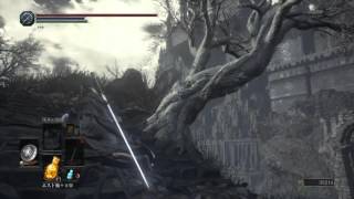 Dark Souls 3 Sirris of the Sunless Realms Questline Ending [upl. by Nylirej]