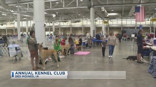 Kennel Club [upl. by Corby5]