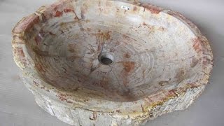 Petrified Wood Sink for sale [upl. by Ateiluj927]