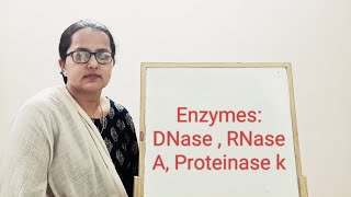 Enzymes DNase  RNase  Proteinase k [upl. by Southard]