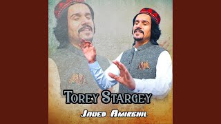 Torey Stargey [upl. by Latoyia748]