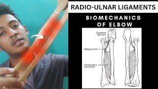 RADIOULNAR LIGAMENTS  ELBOW COMPLEX BIOMECHANICS Physiotherapy Tutorials [upl. by Gladis]