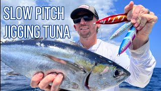 Targeting Blackfin Tuna  Slow Pitch Jigging  Offshore Fishing  Slow Pitch Jigs of 2023 JohnnyJigs [upl. by Streeto340]