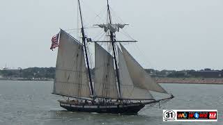 Schooner LYNX entered New Bedford Harbor June 16 2023 [upl. by Lowry]