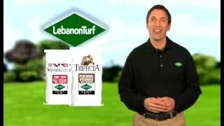 LebanonTurf Grass Seed [upl. by Kubetz]