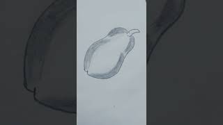 Easy papaya drawingpapaya pencil shadingarts sketchpencildrawingytshortsviral shorts [upl. by Sanford]