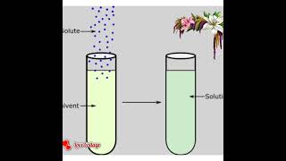 THE CHEMISTRY OF GASES [upl. by Akemhs209]