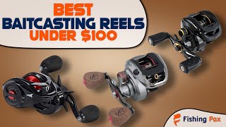 Best Baitcasting Reels Under 100 [upl. by Carnahan]