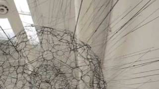 Tomas Saraceno Galaxies Forming Along Filamentsquot 2009 [upl. by Aliam]