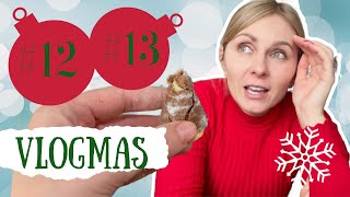 VLOGMAS 12 a 13  Děs jménem vosí hnízda  Můj pracovní den  Time for Mommy [upl. by Wu]