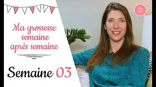 3ème semaine de grossesse – Les nausées [upl. by Nilson327]