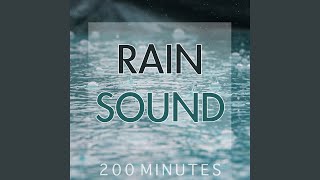 Rain Sound Pure White Noise for Natural Deep Sleep Inducing [upl. by Chandless]