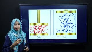 Science Grade 7 Chapter 10 Knowledge 104 Lecture 6  NCP 202223 [upl. by Noral]