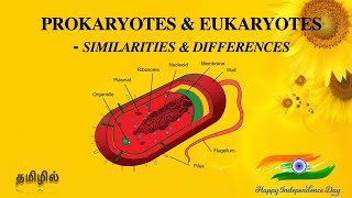 Prokaryotes and Eukaryotes  Similarities and Differences  Bacteria  Tamil [upl. by Adniled]