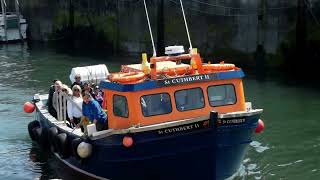 Seahouses Farne Island Boat trip May 2023 [upl. by Beera807]