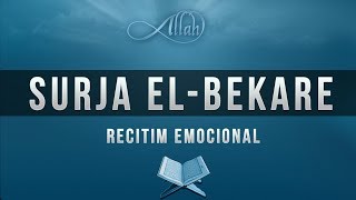 Surja el Bekare [upl. by Lear296]