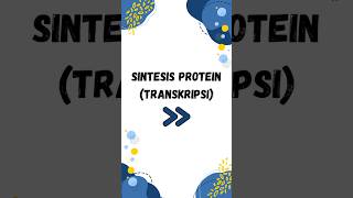 Sintesis ProteinTranskripsi [upl. by Searby]