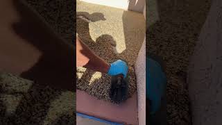 Permeable resin bound surface is perfect for patios resinbound resinwork resinpouring resin [upl. by Charlet342]