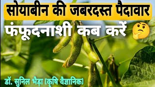 सोयाबीन की शानदार उपज के लिए फंजीसाइड का स्प्रै कब व क्यों करें  Soybean Fungicide Spray R3 Stage🧠🤔 [upl. by Buford]