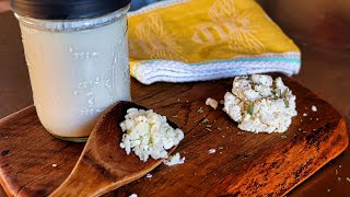 Making Kefir Yogurt amp Kefir Cheese at Home  Fermented Food of Many Uses [upl. by Sydel245]