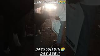 Day 365\1 Din😭😭🙏 Pliz subscribe helpingmadadgarhelp Yourvickyok [upl. by Ignatzia]