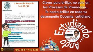 ACUERDO número 140822 Plan de Estudio para la educación preescolar primaria y secundaria [upl. by Falito]