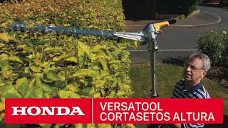 Honda Versatool  Accesorio Cortasetos de Altura [upl. by Willms]