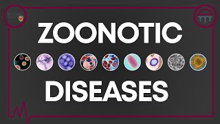 Demystifying Zoonotic Diseases [upl. by Nwahsal]