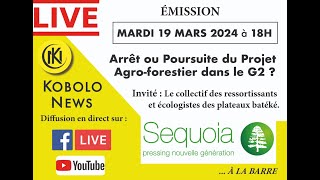 Arrêt ou poursuite du projet Agroforestier dans le HautOgooué [upl. by Morgen]