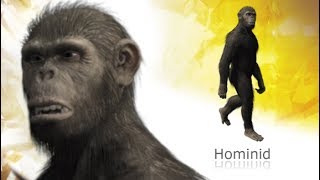 Primeval  Australopithecus afarensis [upl. by Meela]